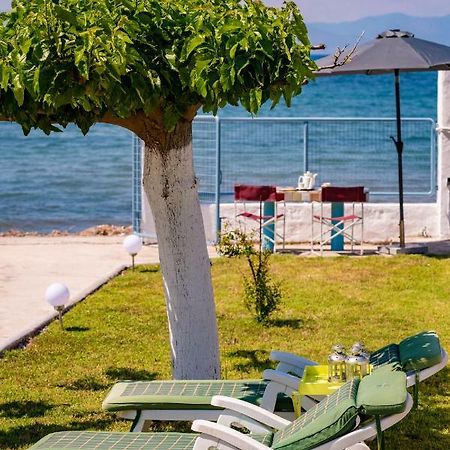 Kiko, The Coastline House Villa Kato Achaia Exteriör bild