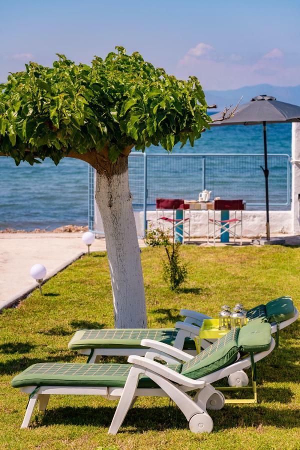Kiko, The Coastline House Villa Kato Achaia Exteriör bild
